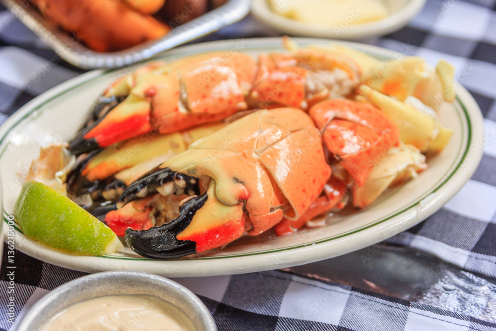When Is Stone Crab Season in Florida? (2026 Edition)