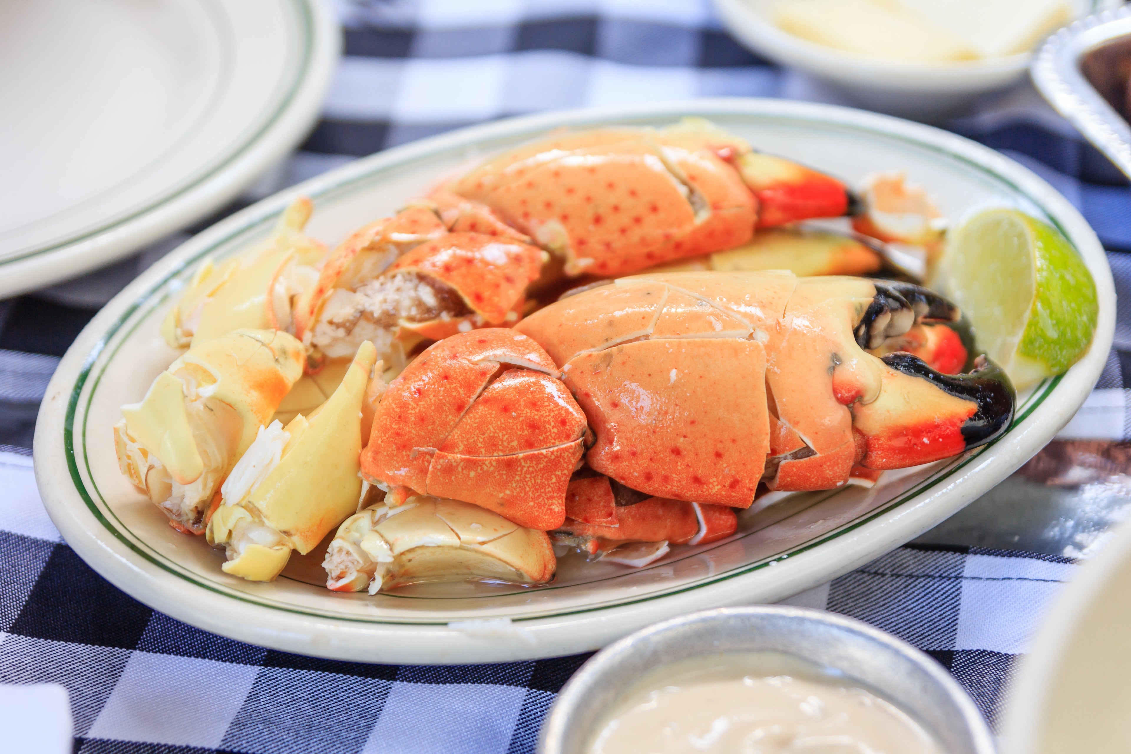 Fresh stone crab claws on plate ready to eat