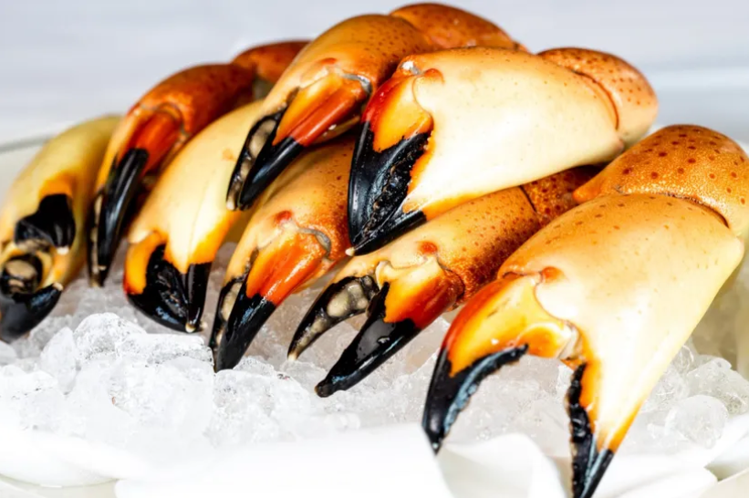 10 Pound Bag of Fishermen's Grade™ Stone Crab Claws
